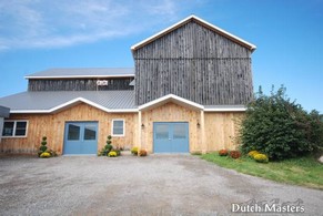 Halton Equine Veterinary Services